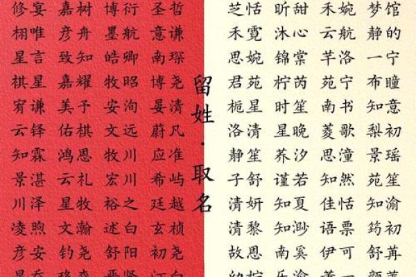 成姓女孩名字大全-成姓女孩起名字大全-成姓名字大全姓名 成姓女孩名字大全-成姓女孩起名字大全-成姓名字大全姓名