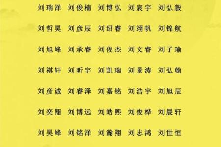 鲁姓男孩名字大全-鲁姓男孩起名字大全-鲁姓名字大全姓名