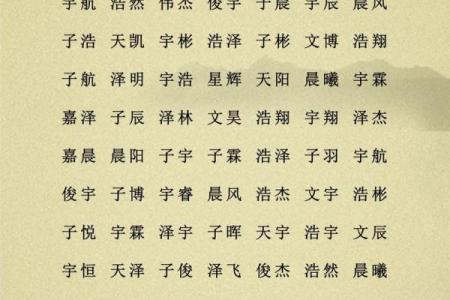 属鸡辰时出生的男孩如何起名，宜用什么字姓名