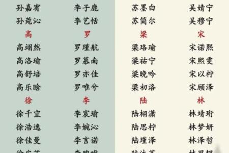 2019年3月18号亥时出生的男孩如何起名姓名