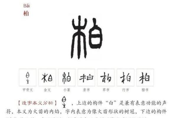 柏姓男孩名字大全-柏姓男孩起名字大全-柏姓名字大全姓名