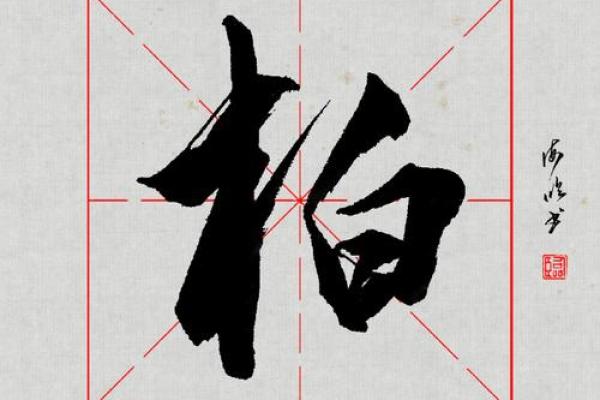 柏姓男孩名字大全-柏姓男孩起名字大全-柏姓名字大全姓名