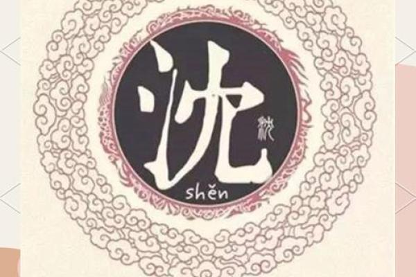 沈姓男孩名字大全-沈姓男孩起名字大全-沈姓名字大全姓名