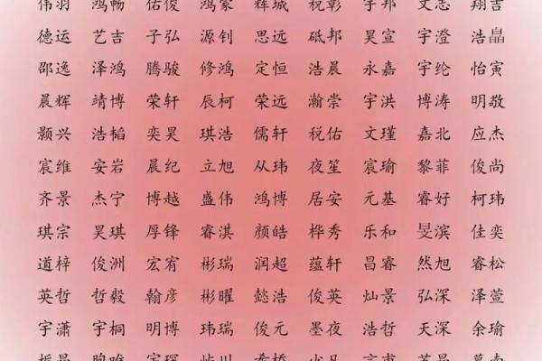 沈姓男孩名字大全-沈姓男孩起名字大全-沈姓名字大全姓名