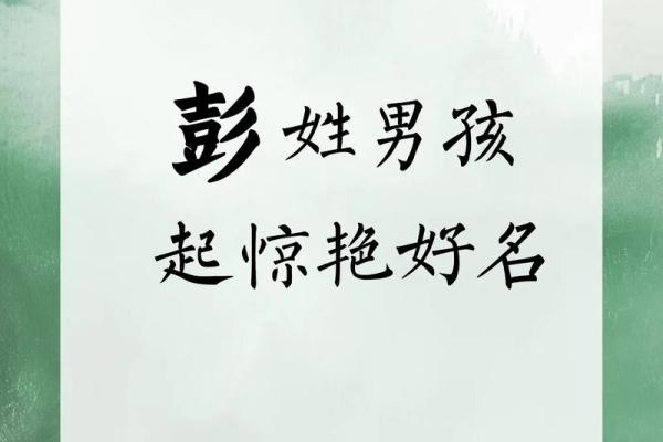 属猴亥时出生的男孩起什么名，宜用什么字姓名