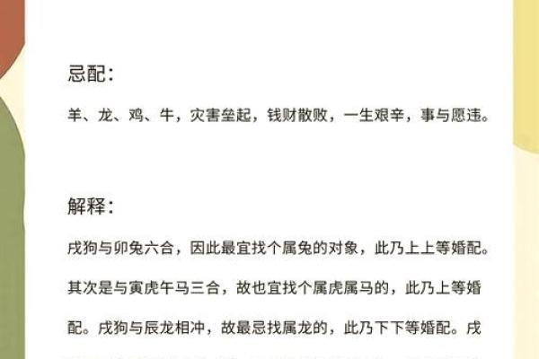 中午12点出生的属狗男孩取什么名,适合什么字姓名 中午12点出生的属狗男孩取什么名,适合什么字姓名