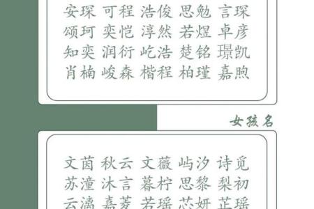 2019年4月20号卯时出生的男孩起名时要注意什么姓名