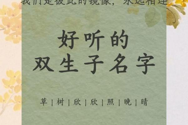 好听的双胞胎名字和起双胞胎名字的五种方法-姓名学-华易网姓名