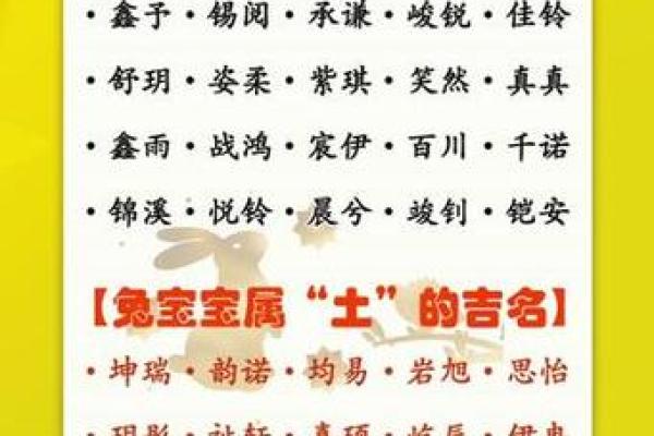 半夜出生属兔的男孩应该怎么样去名字呢姓名