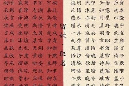 2021年5月17日出生洋气的女孩名字，宝宝五行缺什么？姓名