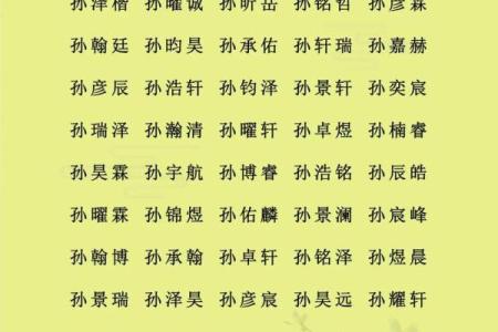 2019年6月24号寅时出生的男孩应该起什么样的名字姓名