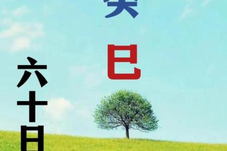 属猴辛时出生的男孩应该如何起名，用什么字好姓名