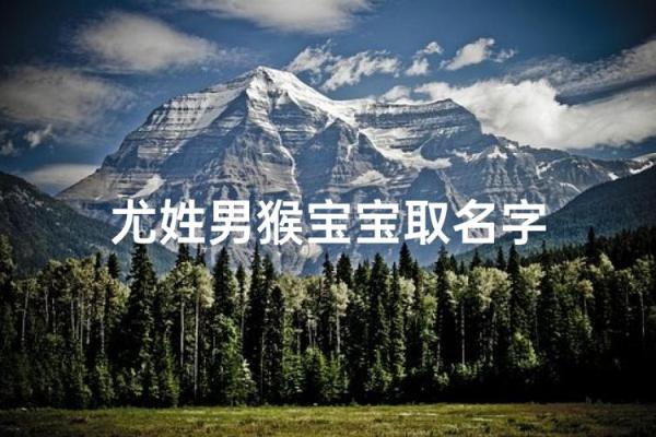 尤姓女孩名字大全-尤姓女孩起名字大全-尤姓名字大全姓名