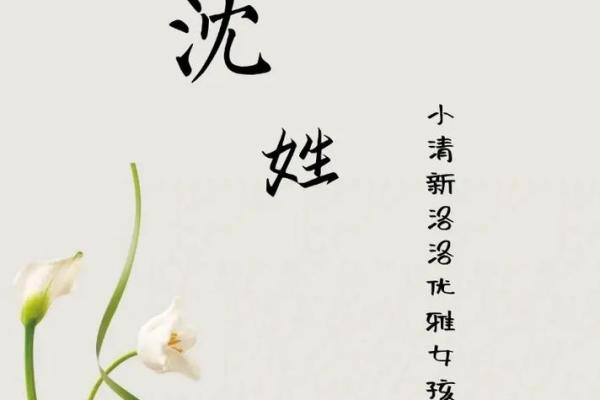 沈姓女孩名字大全-沈姓女孩起名字大全-沈姓名字大全姓名