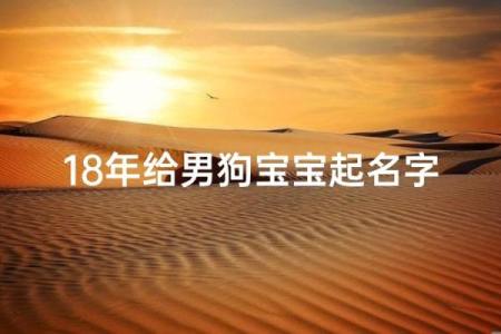 下午出生的属狗男孩取什么名，宜用什么字姓名