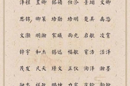 下午一点出生的属猴男孩如何取名，宜用什么字姓名