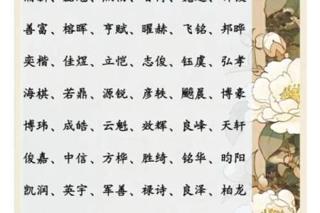 中午1点出生的属羊男孩如何起名，用什么字姓名