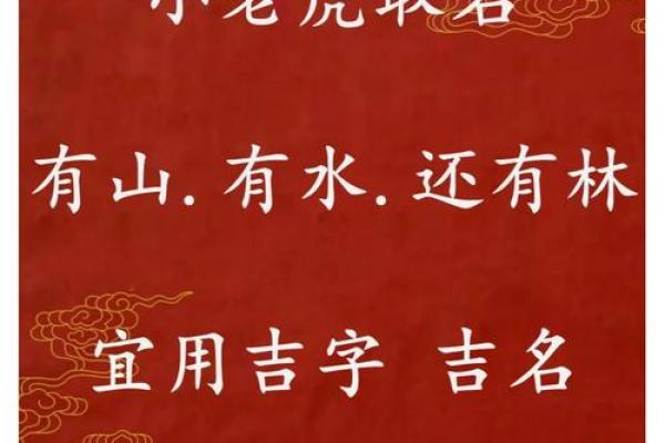 下午3点出生的属虎男孩如何起名，用什么字姓名