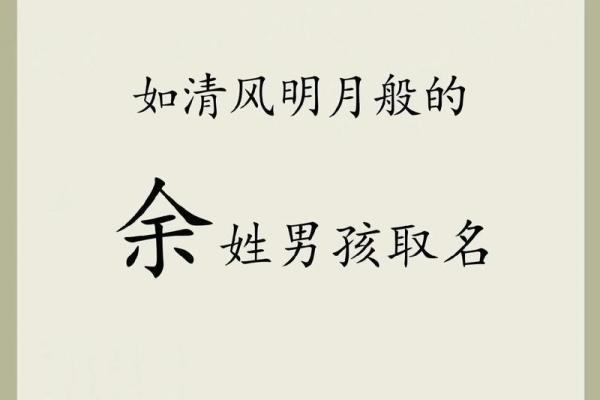 属鸡亥时出生的男孩该如何起名，宜用什么字姓名