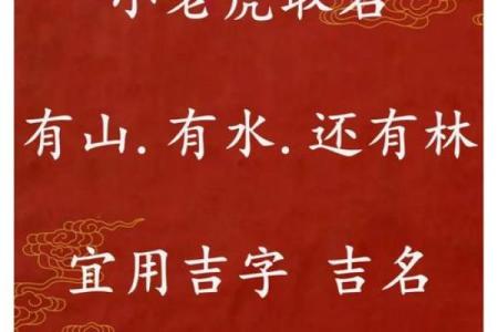 下午3点出生的属虎男孩如何起名，用什么字姓名