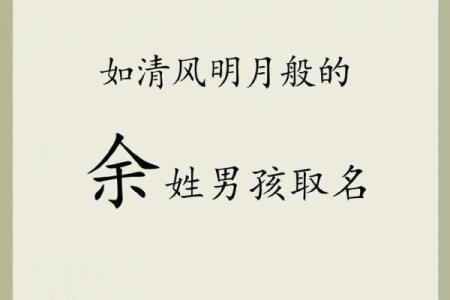 属鸡亥时出生的男孩该如何起名，宜用什么字姓名