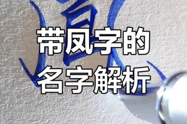 姓凤的名人-名人大全-姓名学-华易算命网姓名