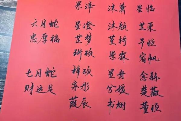 2019年3月25号酉时出生的男孩起名方法姓名