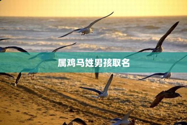 下午出生的属鸡男孩宜用什么字起名字姓名