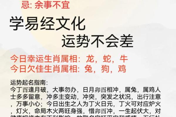 下午出生的属鸡男孩宜用什么字起名字姓名