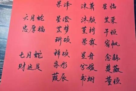 2019年3月25号酉时出生的男孩起名方法姓名