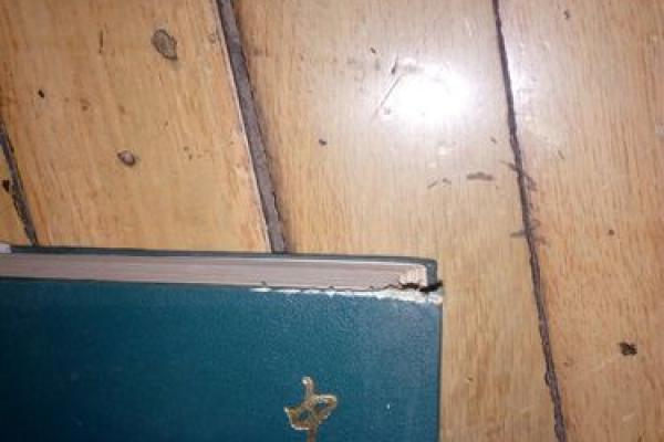 姓咸的名人-姓名学-华易算命网姓名