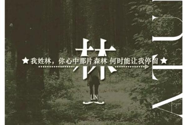 林姓男孩名字大全-林姓男孩起名字大全-林姓名字大全姓名