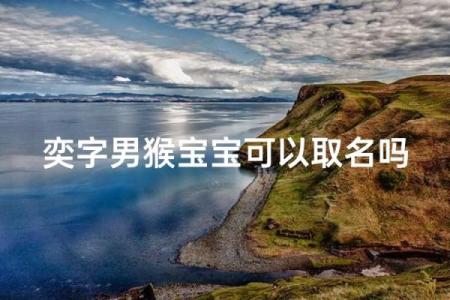 1月份出生的属猴男孩该怎么取名才好姓名