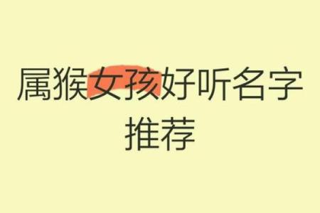 傍晚6点出生的属猴男孩如何起名，宜用什么字姓名