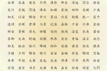 2019年3月21号卯时出生的男孩要怎么起名字姓名