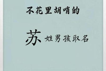 姓苏的名人-名人大全-姓名学-华易算命网姓名
