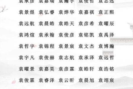 2019年6月1号寅时出生的男孩起名方法姓名