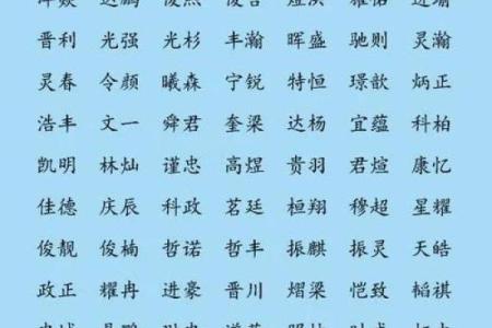 2020年腊月二十八出生男孩缺土新颖好听名字精选姓名