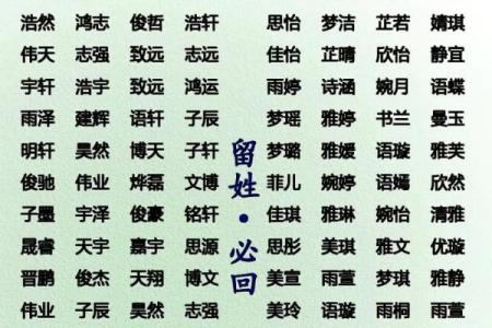 2019年6月30号子时出生的男孩起名方法姓名