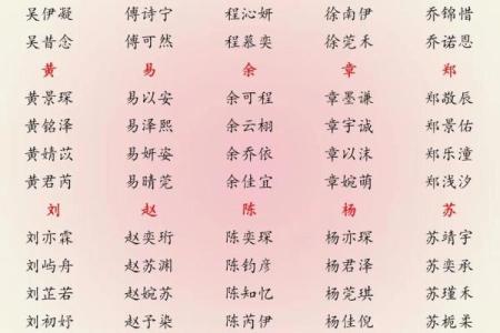 凌晨4点出生的属蛇男孩如何起名姓名