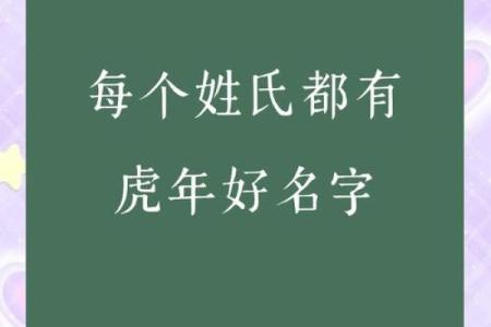晚上10点出生的属虎适合男孩起什么名，用什么字姓名