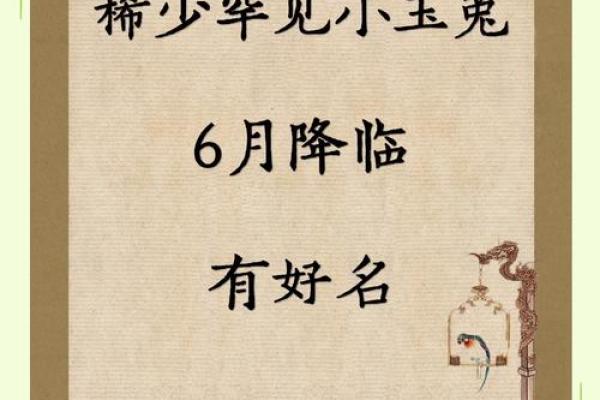 兔宝宝起名用字的禁忌-姓名学-姓名分析姓名