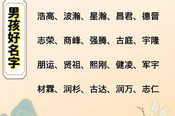 属鸡卯时出生的男孩如何起一个高大上的名字姓名 属鸡卯时出生的男孩如何起一个高大上的名字姓名