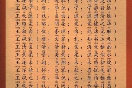 王姓女孩名字大全-王姓女孩起名字大全-王姓名字大全姓名