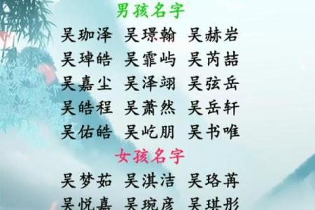 吴姓男孩名字大全-吴姓男孩起名字大全-吴姓名字大全姓名