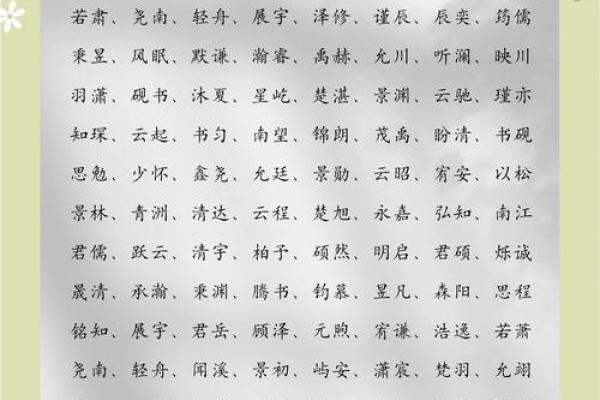 苗姓男孩名字大全-苗姓男孩起名字大全-苗姓名字大全姓名