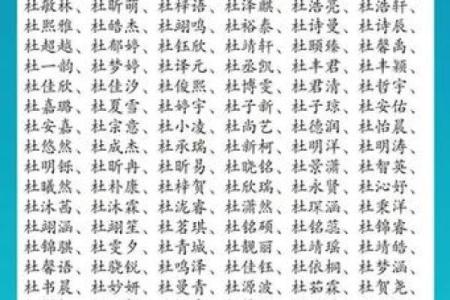 杜姓女孩名字大全-杜姓女孩起名字大全-杜姓名字大全姓名