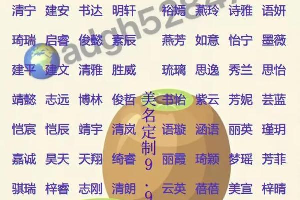 2019年处暑出生的男宝宝叫什么小名好？姓名